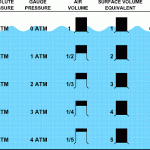 PADI DM theory