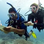 PADI MSDT specialty Instructor Course