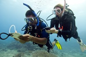 PADI IDC - Cyprus