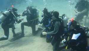 Open water training during PADI IDC