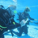 PADI IDC Staff Instructor Course Red Sea