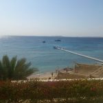 PADI IDC RODC