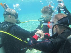 PADI IDC work experience